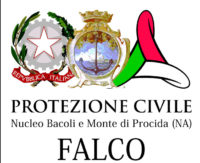 logo-falco-mdp