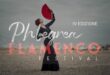 Video. PHLEGREA FLAMENCO FESTIVAL compagnia di Flamenco Ivan Vargas sabato 7 settembre ore 21.00