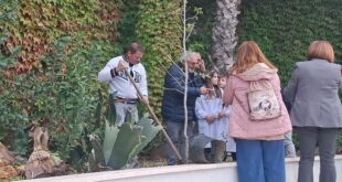 GIORNATA NAZIONALE DEGLI ALBERI A MONTE DI PROCIDA. RADICI IN COMUNE.VIDEO