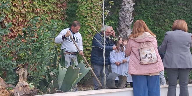 GIORNATA NAZIONALE DEGLI ALBERI A MONTE DI PROCIDA. RADICI IN COMUNE.VIDEO